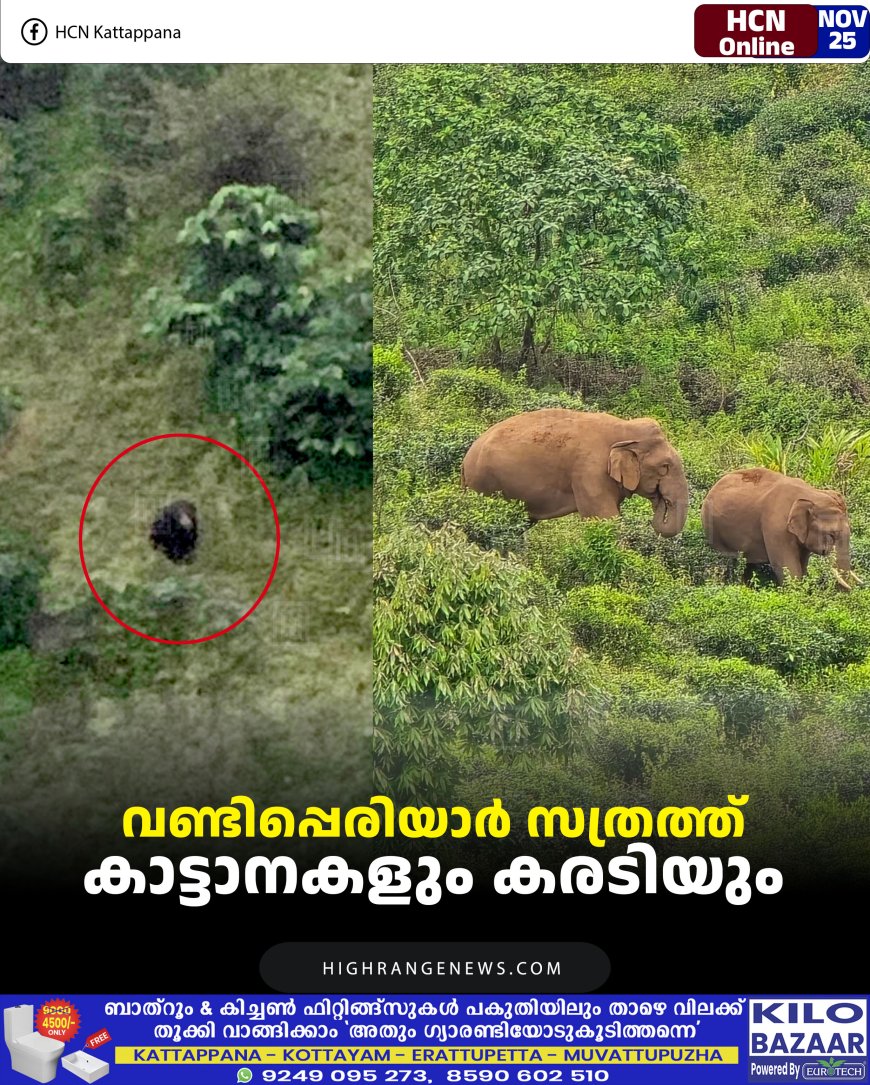 വണ്ടിപ്പെരിയാര്‍ സത്രത്ത് കാട്ടാനകളും കരടിയും 