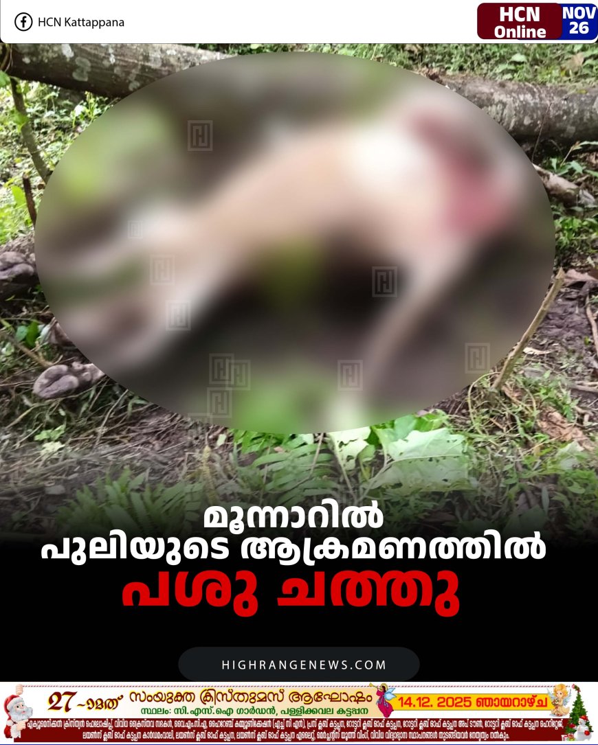 മൂന്നാറില്‍ പുലിയുടെ ആക്രമണത്തില്‍ പശു ചത്തു 