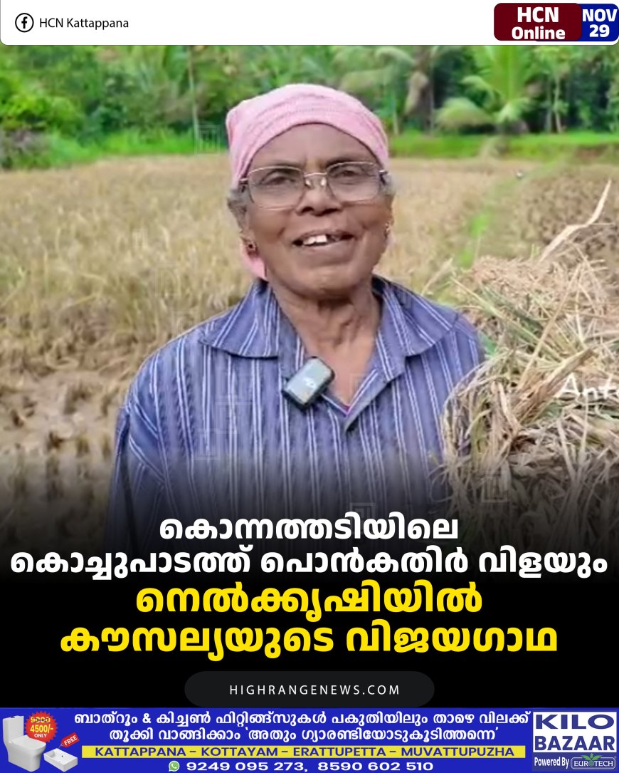കൊന്നത്തടിയിലെ കൊച്ചുപാടത്ത് പൊന്‍കതിര്‍ വിളയും: നെല്‍ക്കൃഷിയില്‍ കൗസല്യയുടെ  വിജയഗാഥ