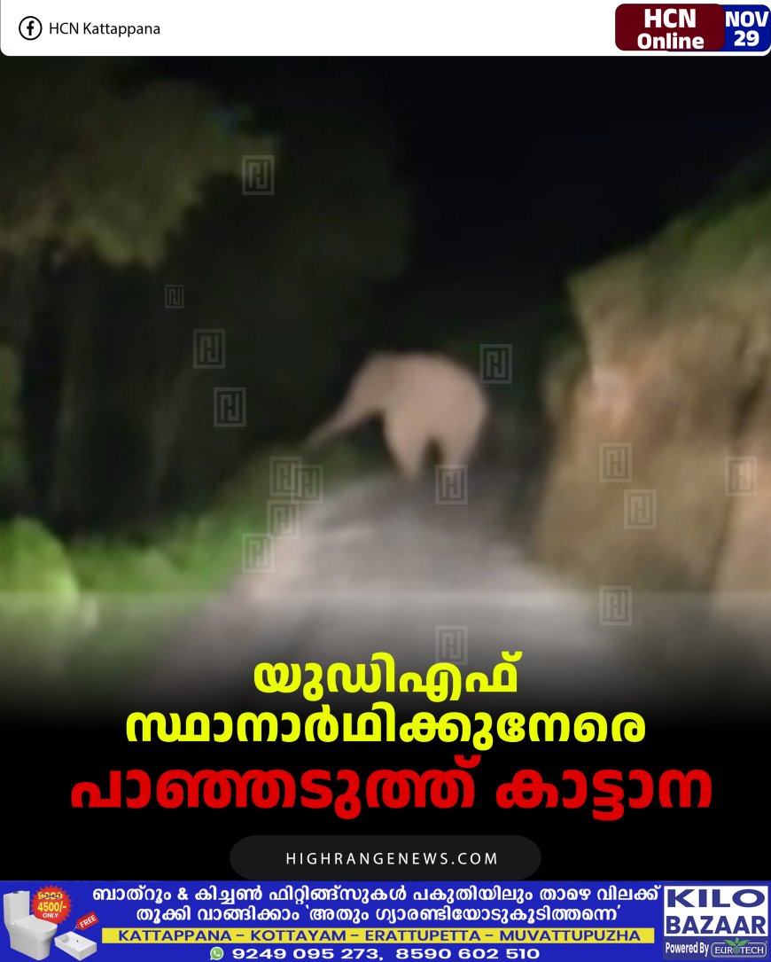 യുഡിഎഫ് സ്ഥാനാര്‍ഥിക്കുനേരെ പാഞ്ഞടുത്ത് കാട്ടാന