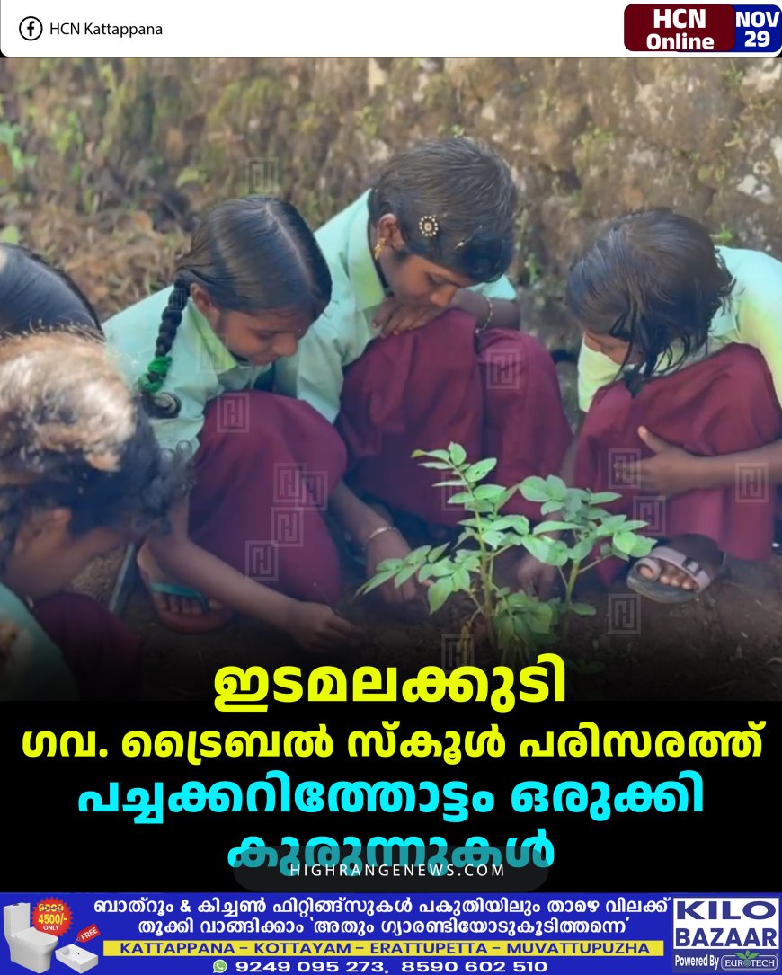 ഇടമലക്കുടി ഗവ. ട്രൈബല്‍ സ്‌കൂള്‍ പരിസരത്ത് പച്ചക്കറിത്തോട്ടം ഒരുക്കി കുരുന്നുകള്‍ 