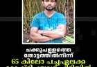 ചക്കുപള്ളത്തെ തോട്ടത്തില്‍നിന്ന് 65 കിലോ പച്ചഏലക്ക മോഷ്ടിച്ചയാള്‍ പിടിയില്‍