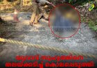 യുവാവ് സുഹൃത്തിനെ തലയ്ക്കടിച്ച് കൊലപ്പെടുത്തി: സംഭവം മേരികുളം ഡോര്‍ലാന്‍ഡില്‍