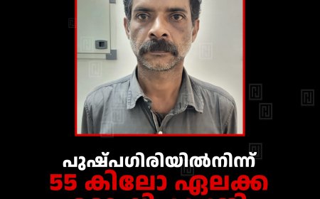 പുഷ്പഗിരിയില്‍നിന്ന് 55 കിലോ ഏലക്ക മോഷ്ടിച്ച പ്രതി 4 മാസത്തിനുശേഷം പിടിയില്‍ 