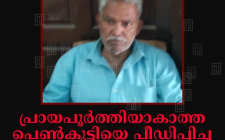 പ്രായപൂര്‍ത്തിയാകാത്ത പെണ്‍കുട്ടിയെ പീഡിപ്പിച്ച വയോധികന്‍ രാജാക്കാട് പൊലീസിന്റെ പിടിയില്‍
