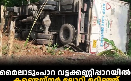 മൈലാടുംപാറ വട്ടക്കണ്ണിപ്പാറയില്‍ കണ്ടെയ്‌നര്‍ ലോറി മറിഞ്ഞ് ഒരാള്‍ക്ക് പരിക്ക് 