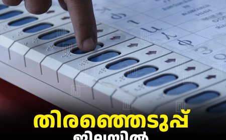 തിരഞ്ഞെടുപ്പ്: ജില്ലയില്‍ 70.26 ശതമാനം പോളിങ്