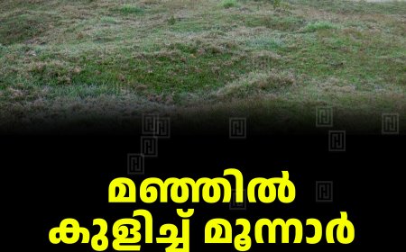 മഞ്ഞില്‍ കുളിച്ച് മൂന്നാര്‍: താപനില 3 ഡിഗ്രി സെല്‍ഷ്യസ് 