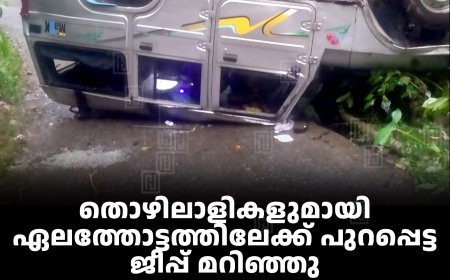 തൊഴിലാളികളുമായി ഏലത്തോട്ടത്തിലേക്ക് പുറപ്പെട്ട ജീപ്പ് മറിഞ്ഞു: അപകടം നെടുങ്കണ്ടം സന്യാസിയോടയില്‍