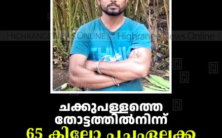 ചക്കുപള്ളത്തെ തോട്ടത്തില്‍നിന്ന് 65 കിലോ പച്ചഏലക്ക മോഷ്ടിച്ചയാള്‍ പിടിയില്‍