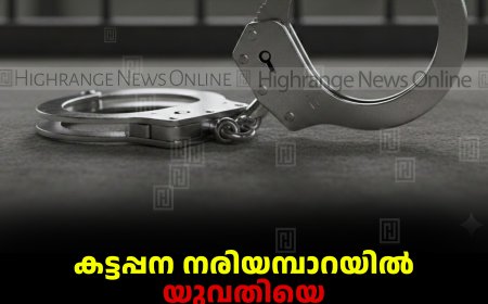 കട്ടപ്പന നരിയമ്പാറയില്‍ യുവതിയെ വെട്ടിപ്പരിക്കേല്‍പ്പിച്ച മുന്‍ ഭര്‍ത്താവ് അറസ്റ്റില്‍