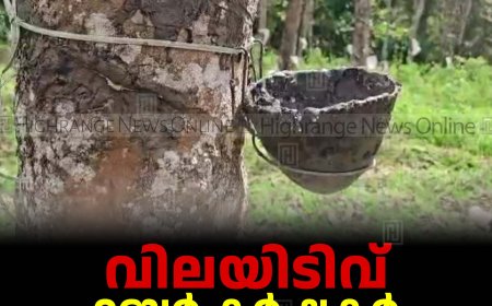 വിലയിടിവ് : റബ്ബര്‍ കര്‍ഷകര്‍ പ്രതിസന്ധിയില്‍ 