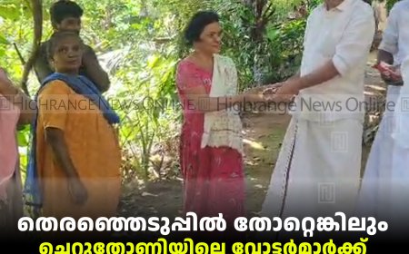 തെരഞ്ഞെടുപ്പില്‍ തോറ്റെങ്കിലും ചെറുതോണിയിലെ വോട്ടര്‍മാര്‍ക്ക് ക്രിസ്മസ് കേക്ക് എത്തിച്ചുനല്‍കി: വേറിട്ട മാതൃകയായി പി കെ ജയന്‍