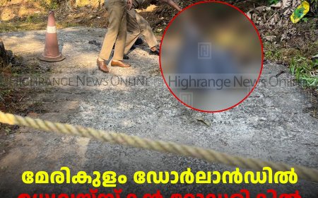 മേരികുളം ഡോർലാൻഡിൽ മധ്യവയ്സ്കൻ റോഡരികിൽ മരിച്ചനിലയിൽ