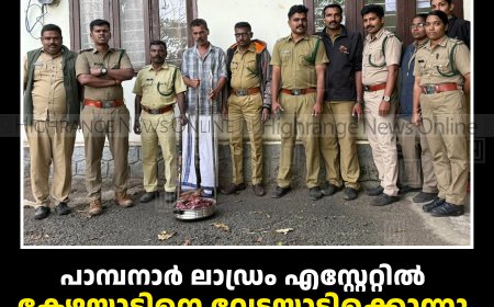 പാമ്പനാര്‍ ലാഡ്രം എസ്റ്റേറ്റില്‍ കേഴയാടിനെ വേട്ടയാടിക്കൊന്നു: പീരുമേട് സ്വദേശി അറസ്റ്റില്‍
