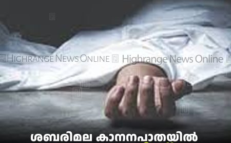 ശബരിമല കാനനപാതയില്‍ കുഴഞ്ഞുവീണ് 2 തീര്‍ഥാടകര്‍ മരിച്ചു