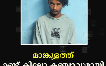 മാങ്കുളത്ത് രണ്ട് കിലോ കഞ്ചാവുമായി യുവാവ് പിടിയില്‍ 