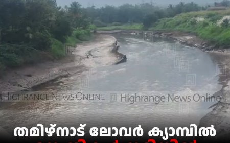 തമിഴ്‌നാട് ലോവര്‍ ക്യാമ്പില്‍ ദമ്പതികള്‍ നദിയില്‍ മുങ്ങിമരിച്ചു