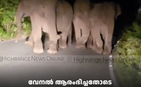 വേനല്‍ ആരംഭിച്ചതോടെ മൂന്നാര്‍ മേഖലയില്‍ കാട്ടാന ശല്യം രൂക്ഷം 