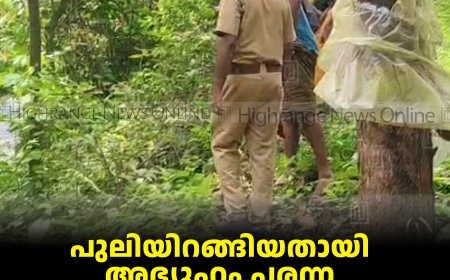 പുലിയിറങ്ങിയതായി അഭ്യൂഹം പരന്ന കഞ്ഞിക്കുഴി വാകച്ചുവട്ടില്‍ വനപാലകര്‍ പരിശോധന നടത്തി 