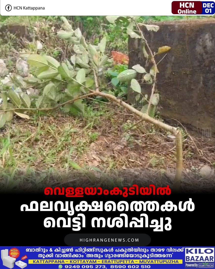 വെള്ളയാംകുടിയില്‍ ഫലവൃക്ഷത്തൈകള്‍ വെട്ടി നശിപ്പിച്ചു
