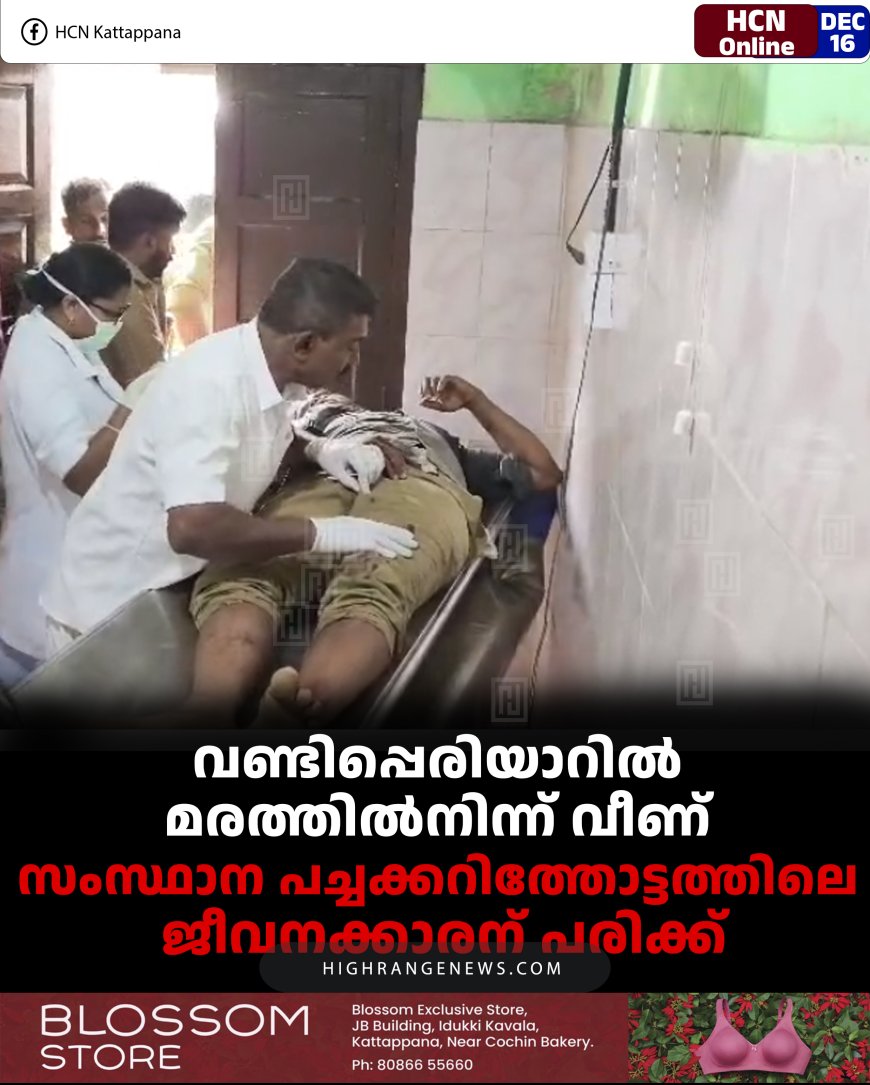വണ്ടിപ്പെരിയാറിൽ മരത്തിൽനിന്ന് വീണ് സംസ്ഥാന പച്ചക്കറിത്തോട്ടത്തിലെ ജീവനക്കാരന് പരിക്ക്