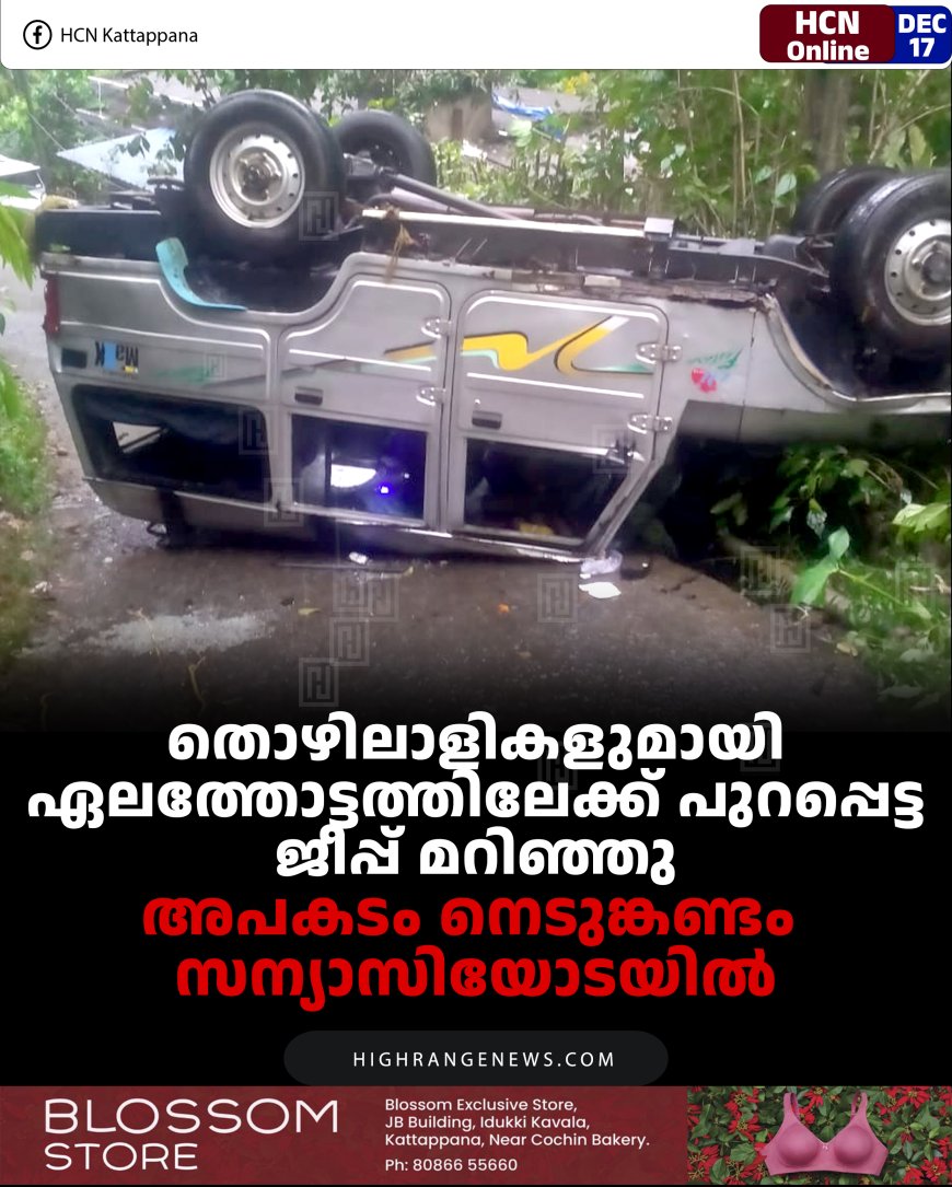 തൊഴിലാളികളുമായി ഏലത്തോട്ടത്തിലേക്ക് പുറപ്പെട്ട ജീപ്പ് മറിഞ്ഞു: അപകടം നെടുങ്കണ്ടം സന്യാസിയോടയില്‍