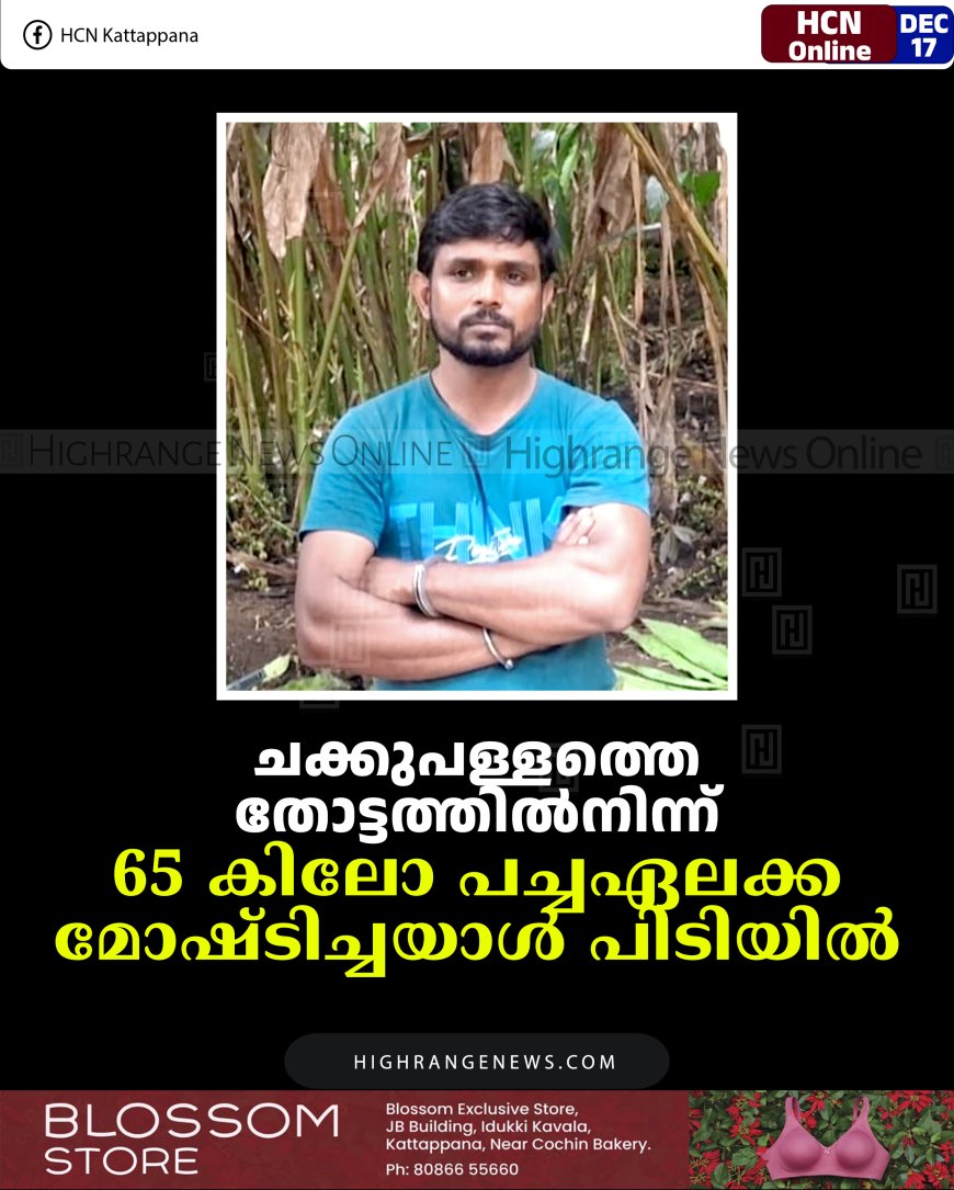 ചക്കുപള്ളത്തെ തോട്ടത്തില്‍നിന്ന് 65 കിലോ പച്ചഏലക്ക മോഷ്ടിച്ചയാള്‍ പിടിയില്‍