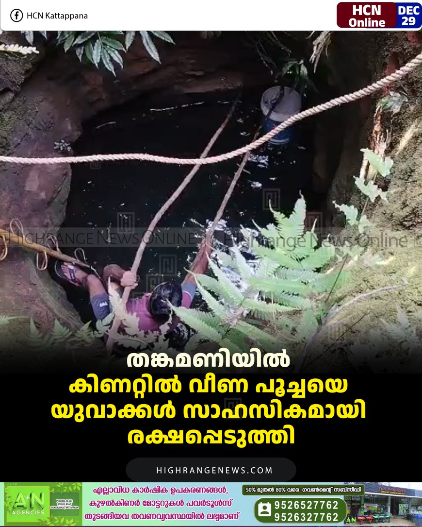 തങ്കമണിയില്‍ കിണറ്റില്‍ വീണ പൂച്ചയെ യുവാക്കള്‍ സാഹസികമായി രക്ഷപ്പെടുത്തി