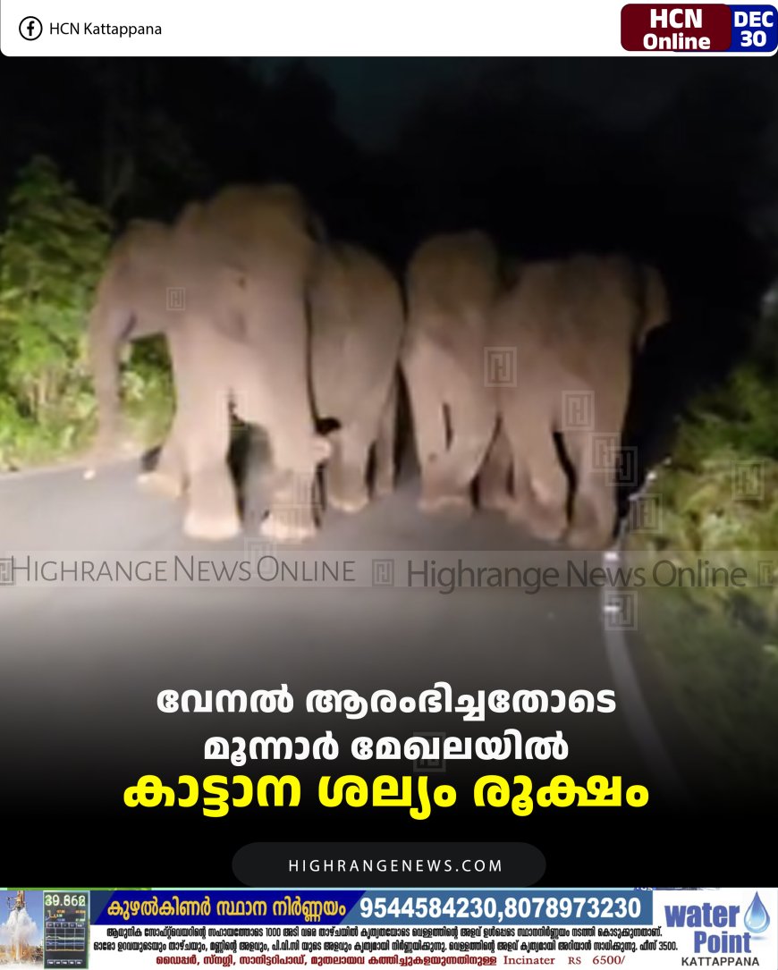 വേനല്‍ ആരംഭിച്ചതോടെ മൂന്നാര്‍ മേഖലയില്‍ കാട്ടാന ശല്യം രൂക്ഷം 