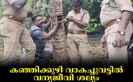 കഞ്ഞിക്കുഴി വാകച്ചുവട്ടില്‍ വന്യജീവി ശല്യം: വളര്‍ത്തുനായയെ ആക്രമിച്ചു: ക്യാമറ സ്ഥാപിച്ച് വനപാലകര്‍