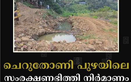 ചെറുതോണി പുഴയിലെ സംരക്ഷണഭിത്തി നിര്‍മാണം വിവാദത്തില്‍     