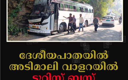 ദേശീയപാതയില്‍ അടിമാലി വാളറയില്‍ ടൂറിസ്റ്റ് ബസ് മണ്‍തിട്ടയിലിടിച്ച് അപകടം