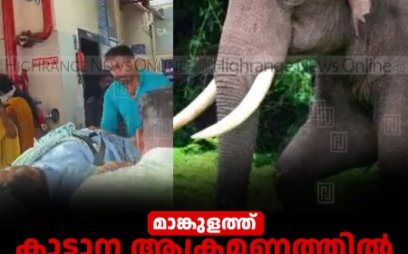 മാങ്കുളത്ത് കാട്ടാന ആക്രമണത്തില്‍ മധ്യവയസ്‌കന് പരിക്ക് 