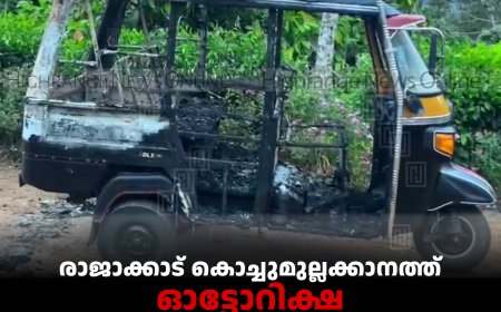 രാജാക്കാട് കൊച്ചുമുല്ലക്കാനത്ത് ഓട്ടോറിക്ഷ തീയിട്ട് നശിപ്പിച്ച സംഭവം: പ്രതികള്‍ കാണാമറയത്ത്