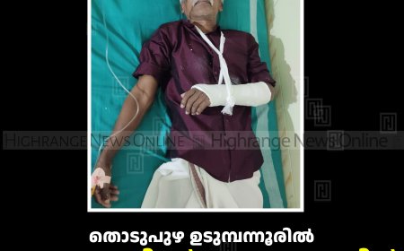 തൊടുപുഴ ഉടുമ്പന്നൂരിൽ കാട്ടുപോത്തിന്റെ ആക്രമണത്തിൽ രണ്ട് പേർക്ക് പരിക്ക് 