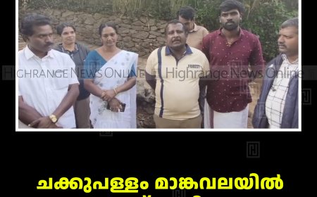 ചക്കുപള്ളം മാങ്കവലയില്‍ കണ്ടത് പുലിയല്ല; പൂച്ചപ്പുലിയെന്ന് സ്ഥിരീകരണം
