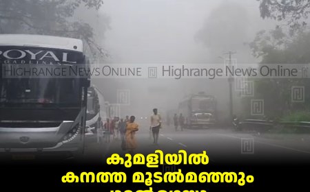 കുമളിയില്‍ കനത്ത മൂടല്‍മഞ്ഞും ചാറ്റല്‍മഴയും: വാഹനയാത്ര ദുഷ്‌കരം