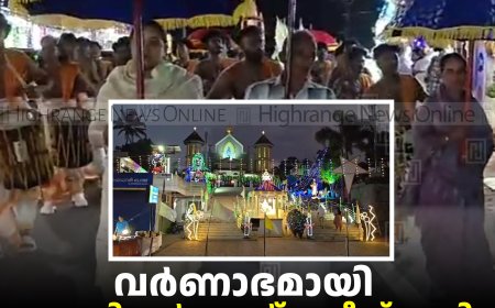 വര്‍ണാഭമായി കാഞ്ചിയാര്‍ സെന്റ് മേരീസ് പള്ളി തിരുനാള്‍ പ്രദക്ഷിണം 