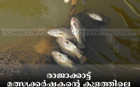 രാജാക്കാട്ട് മത്സ്യക്കര്‍ഷകന്റെ കുളത്തിലെ 10,000 രൂപയുടെ മീനുകള്‍ മോഷണംപോയി
