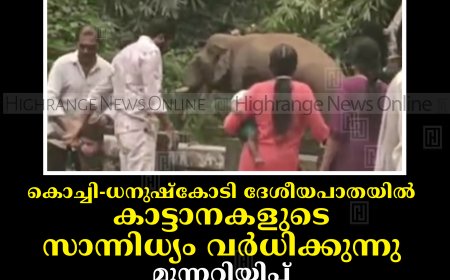 കൊച്ചി- ധനുഷ്‌കോടി ദേശീയപാതയില്‍ കാട്ടാനകളുടെ സാന്നിധ്യം വര്‍ധിക്കുന്നു: മുന്നറിയിപ്പ് സംവിധാനം ഒരുക്കണമെന്ന് വാഹനയാത്രികര്‍ 