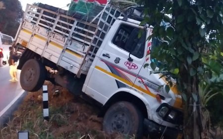 കട്ടപ്പന വാഴവരയിൽ ടൂറിസ്റ്റ് ബസും പിക്ക് അപ്പ്‌ ലോറിയും അപകടത്തിൽപ്പെട്ടു