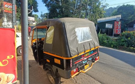 തെരുവ് നായ കുറുകെ ചാടി: കട്ടപ്പനയിൽ ഓട്ടോറിക്ഷ മറിഞ്ഞ് ഡ്രൈവർക്ക് പരിക്ക്