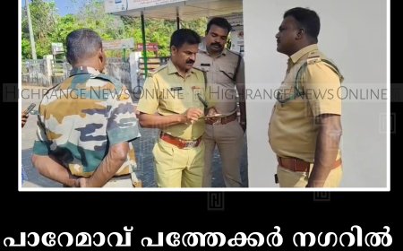 പാറേമാവ് പത്തേക്കര്‍ നഗറില്‍ കടുവയെ കണ്ടതായി നാട്ടുകാര്‍  
