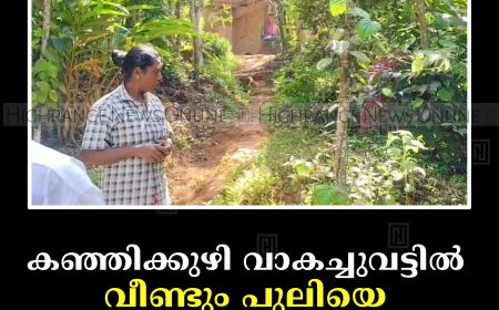 കഞ്ഞിക്കുഴി വാകച്ചുവട്ടില്‍ വീണ്ടും പുലിയെ കണ്ടതായി നാട്ടുകാര്‍