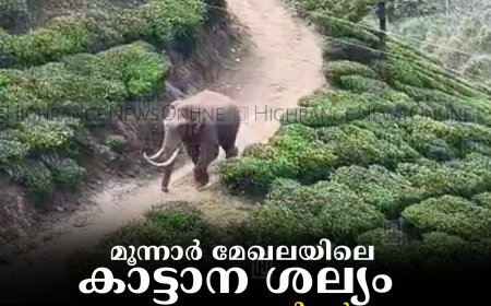 മൂന്നാര്‍ മേഖലയിലെ കാട്ടാന ശല്യം:   ജാഗ്രതാ നടപടികള്‍ കൂടുതല്‍ ശക്തമാക്കി വനംവകുപ്പ് 