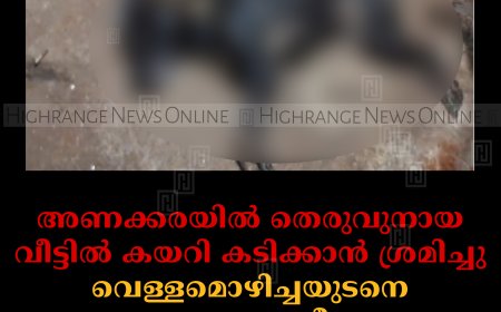 അണക്കരയില്‍ തെരുവുനായ വീട്ടില്‍ കയറി കടിക്കാന്‍ ശ്രമിച്ചു: വെള്ളമൊഴിച്ചയുടനെ നായ ചത്തുവീണു: പേവിഷബാധയെന്ന് സംശയം