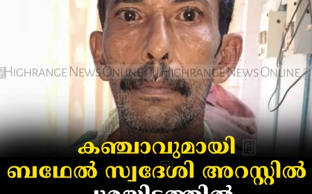 കഞ്ചാവുമായി ബഥേല്‍ സ്വദേശി അറസ്റ്റില്‍: പുരയിടത്തില്‍ 2 കഞ്ചാവ് ചെടികള്‍