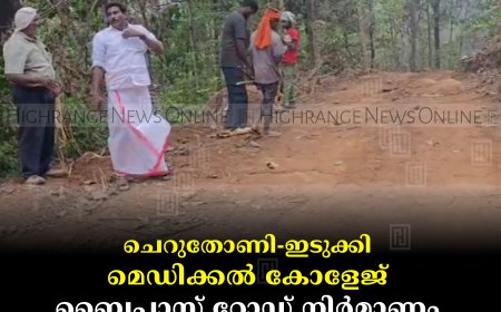 ചെറുതോണി-ഇടുക്കി മെഡിക്കല്‍ കോളേജ് ബൈപാസ് റോഡ് നിര്‍മാണം അവസാനഘട്ടത്തില്‍