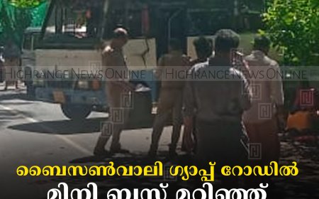 ബൈസണ്‍വാലി ഗ്യാപ്പ് റോഡില്‍ മിനി ബസ് മറിഞ്ഞ് 2 പേര്‍ക്ക് പരിക്ക്